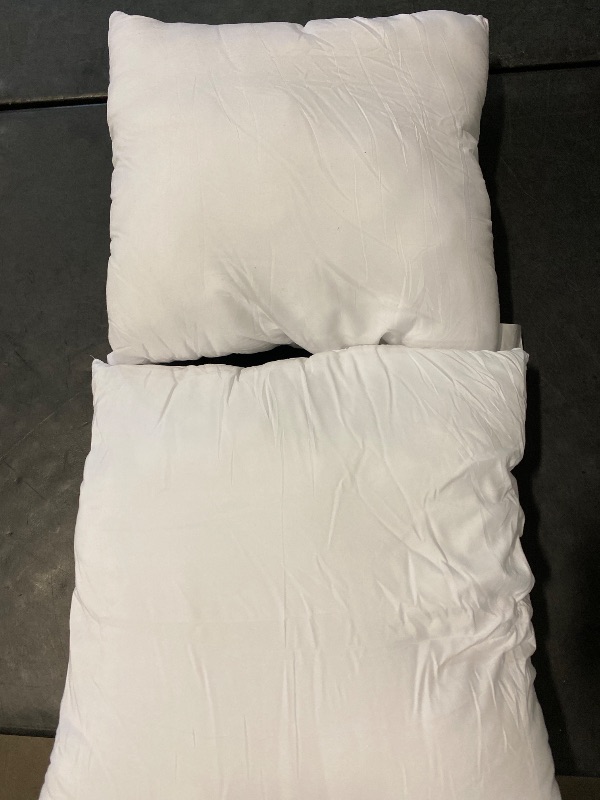 Photo 1 of EDOW Luxury Throw Pillow Insert, Soft Fluffy Down Alternative Polyester Square Form Decorative Pillow Insert,Sham Stuffer,Cotton Cover for Sofa, Couch,Bed and Car. 2 Pack (White, 18x18)