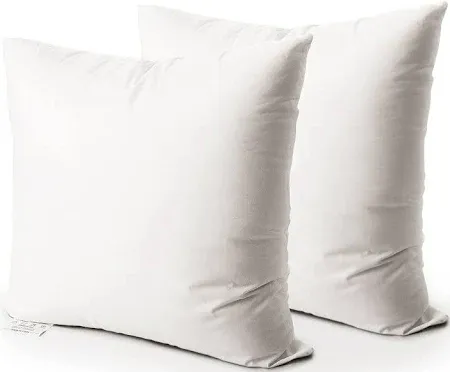 Photo 1 of EDOW Luxury Throw Pillow Insert, Soft Fluffy Down Alternative Polyester Square Form Decorative Pillow Insert,Sham Stuffer,Cotton Cover for Sofa, Couch,Bed and Car. 2 Pack (White, 18x18)