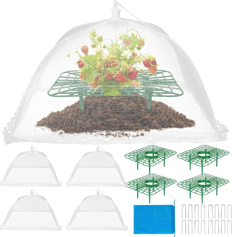 Photo 1 of 4 Sets Strawberry Plant Support with Mesh Plant Cover,Strawberry Growing Racks Sets with Iron Plant Nails and Storage Bag for Garden Strawberry Vegetables (Square)
