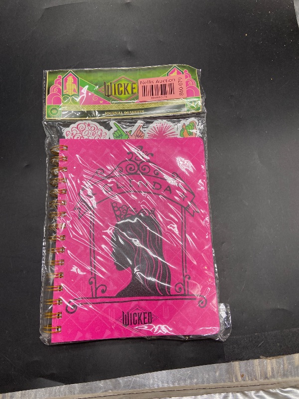 Photo 1 of Target Wicked Glinda Tabbed Journal 96 sheets