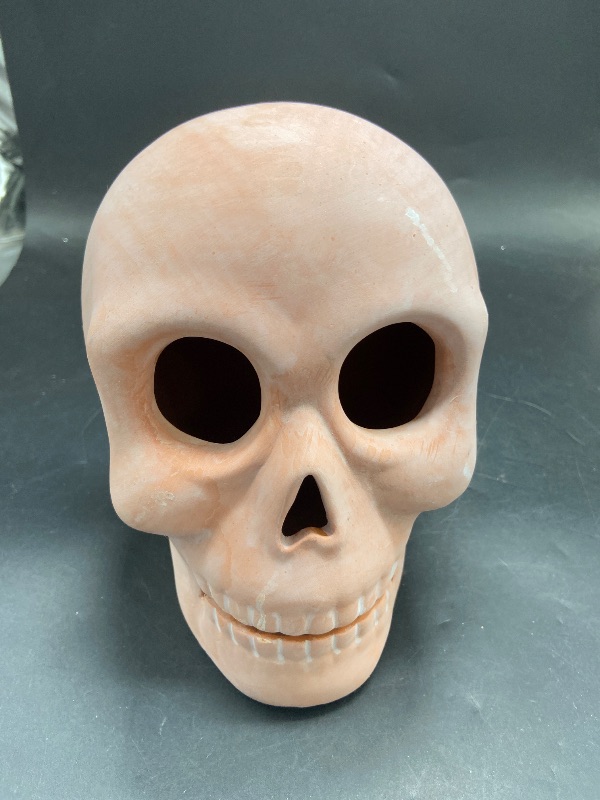 Photo 1 of Halloween Terracotta Skull - Hyde  EEK! Boutique: No Assembly,Party Backdrop Decor
