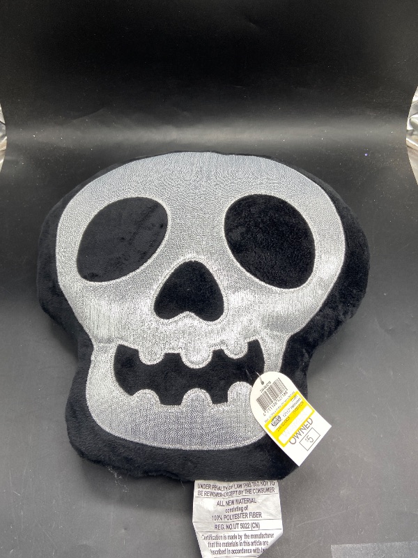Photo 1 of Halloween Novelty SKULL Decorative Pillow Target Bullseye Playground 2024