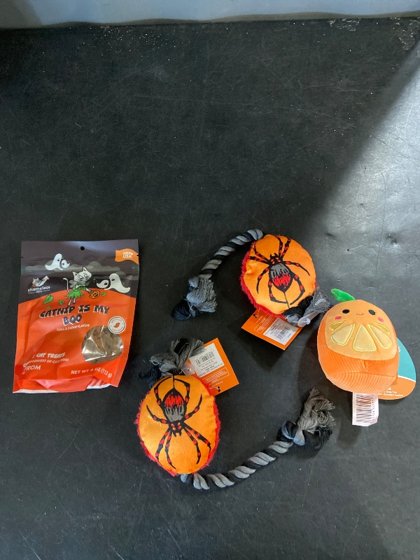 Photo 1 of 4 item pet bundle  Halloween accessories