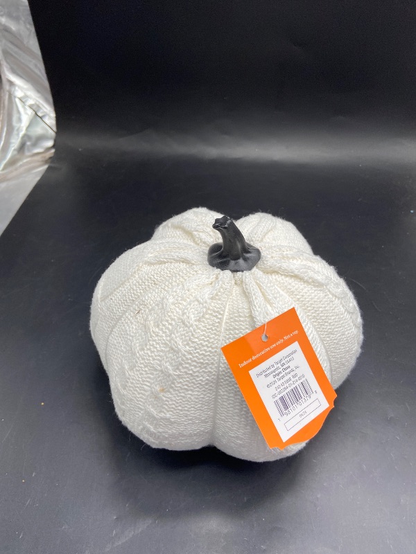 Photo 1 of 2 item bundle  5.75 Knit Cable Pumpkin White Halloween Decorative Figurine - Hyde  EEK! Boutique