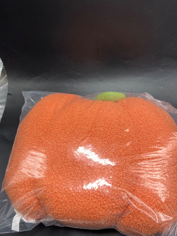 Photo 1 of Orange Pumpkin pillow Halloween decor 