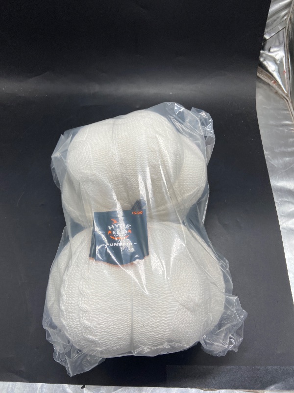Photo 1 of 2 item bundle hyde and eek Halloween white pumpkin