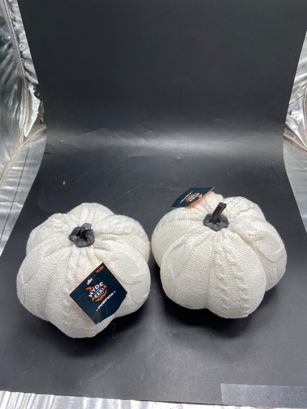 Photo 1 of Set of 2 Hyde & EEK White Knit Pumpkins Halloween Decor