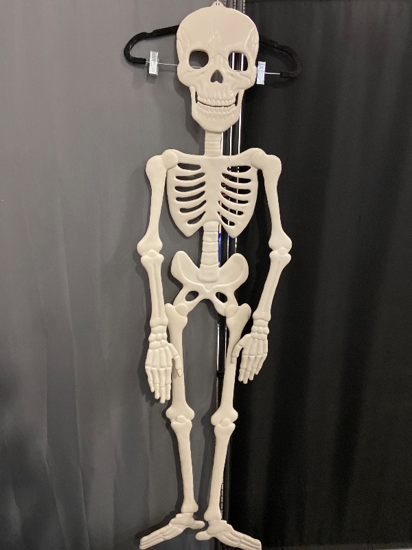 Photo 1 of 59" jointed  Skeleton Halloween Decorative Prop white - Hyde and EEK! Boutique™
