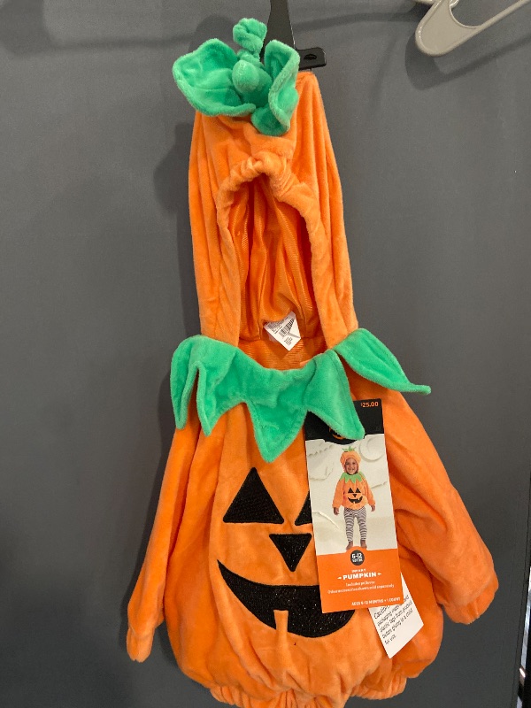 Photo 1 of  6-24 Months Size-Baby Pumpkin Halloween Costume Infant Carrier and Hat - Hyde  EEK! Boutique