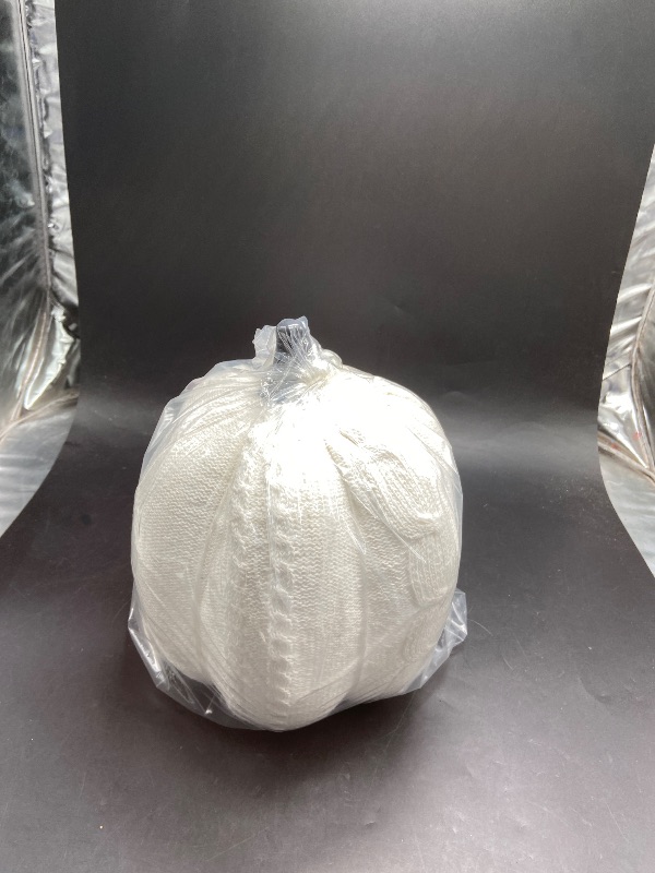 Photo 1 of White Medium Pumpkin Halloween decor 