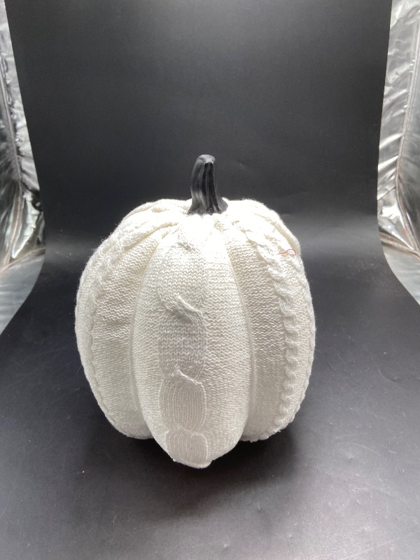 Photo 1 of White Medium Pumpkin Halloween decor 