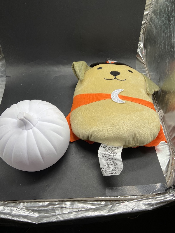 Photo 1 of 2 item Bundle - Halloween - accessories