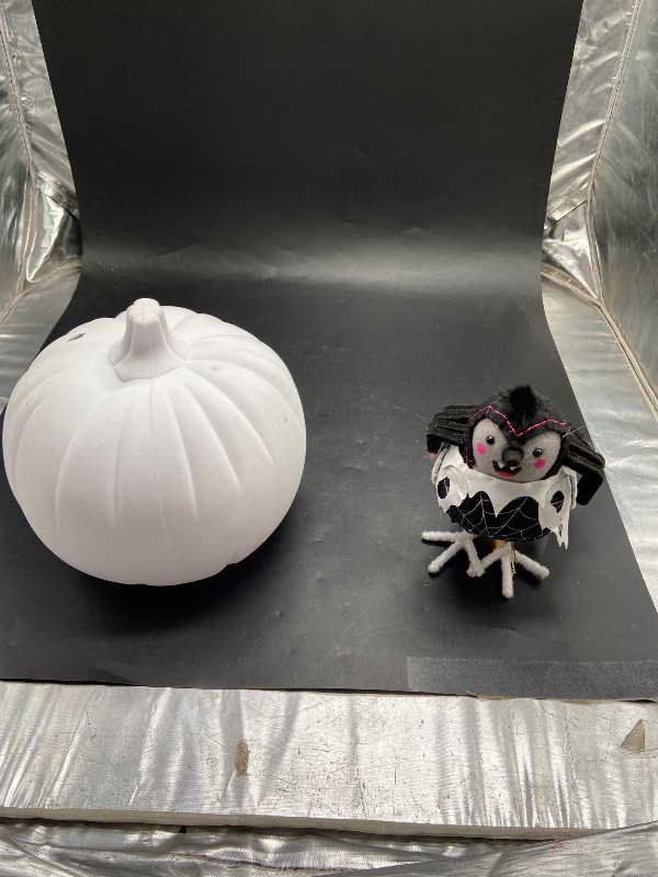 Photo 1 of 2 Item Bundle - Halloween accessories