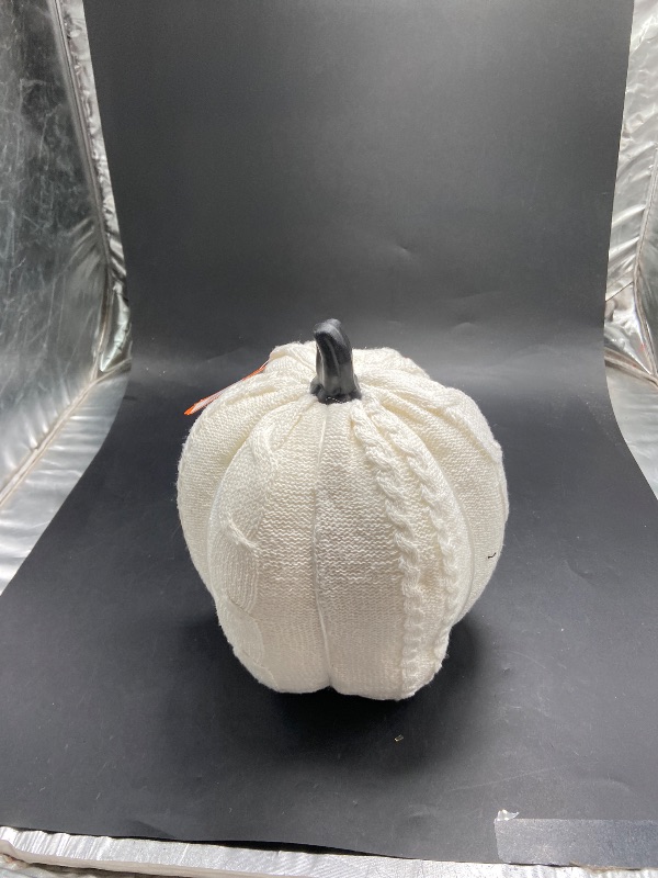 Photo 1 of Hyde & Eek! Knit Halloween/Fall Pumpkin Decoration