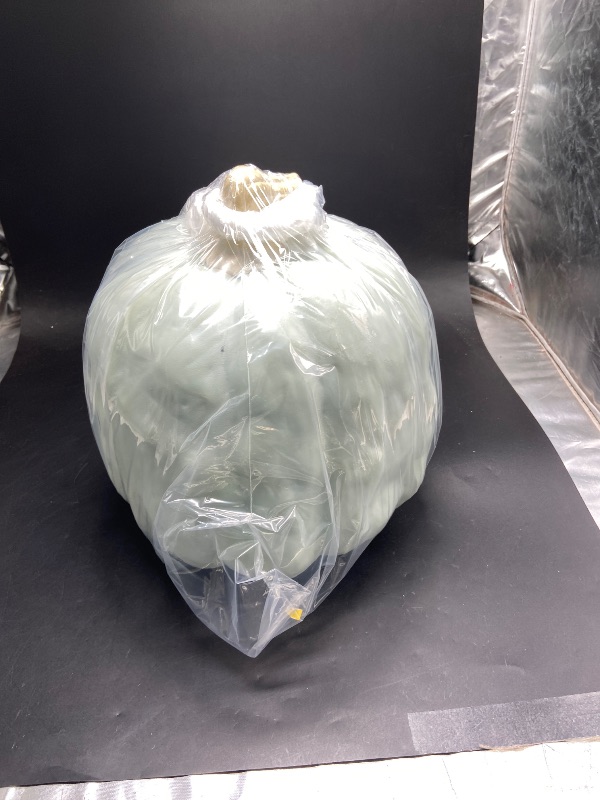 Photo 1 of 9 Halloween Plastic Pumpkin Soft Green Halloween Decorative Sculpture - Hyde  EEK! Boutique: Indoor Use