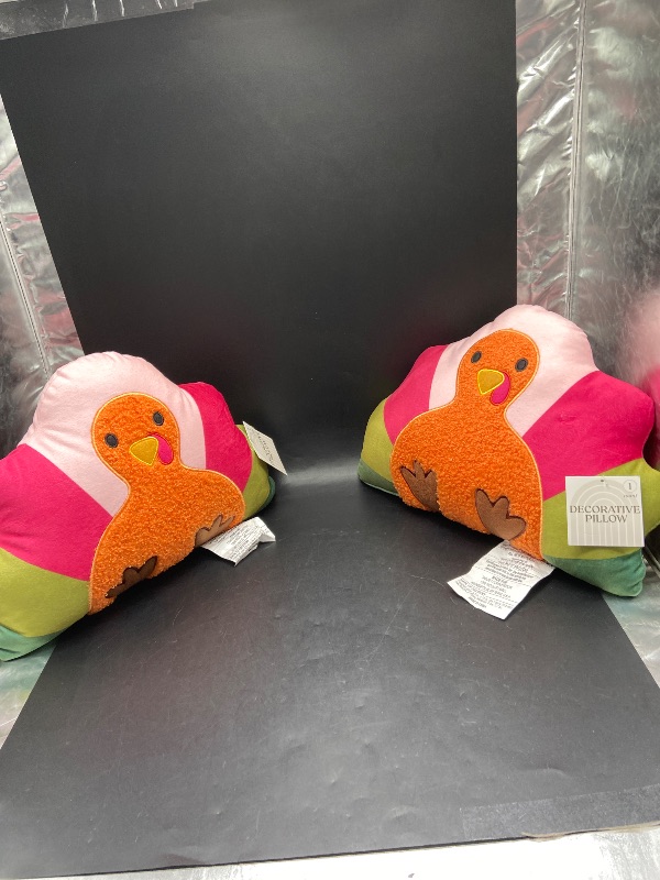 Photo 1 of Set of 2 Bullseye TURKEY Pillow THANKSGIVING FALL WHIMSICAL Modern Colors
