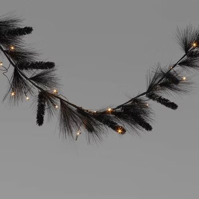 Photo 1 of Hyde and eek  Led Black needle Gardland