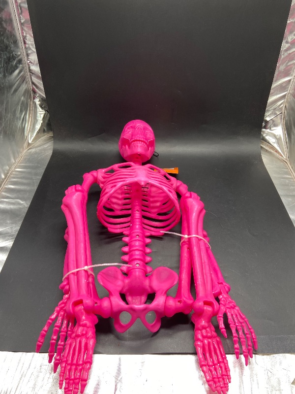 Photo 1 of posable Skeleton  - Hyde n eek 36in