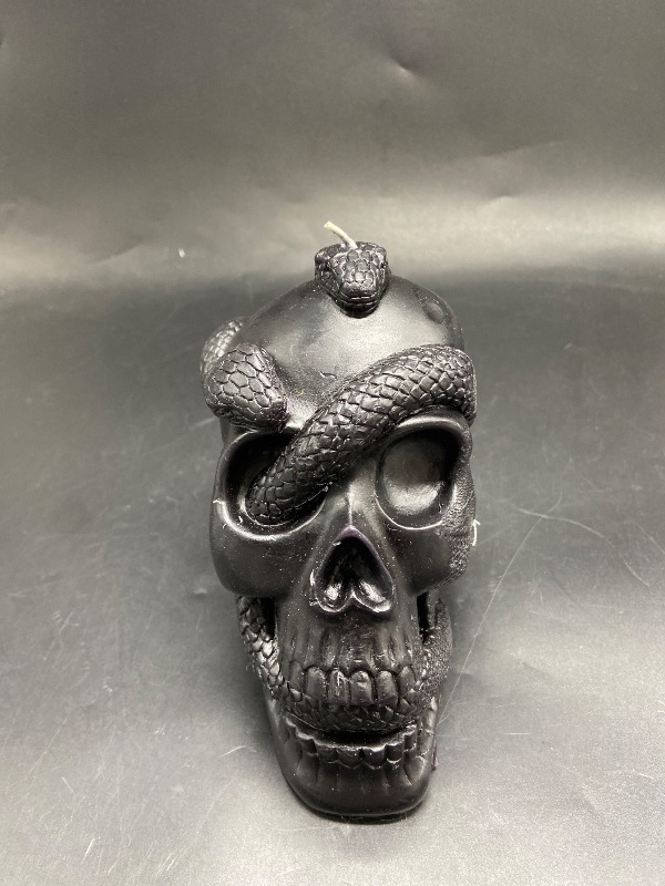 Photo 1 of Skull and Snake Candle Black - Threshold