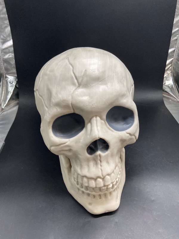 Photo 1 of Hyde & Eek 10" Oversized Skull with Moveable Jaw Halloween