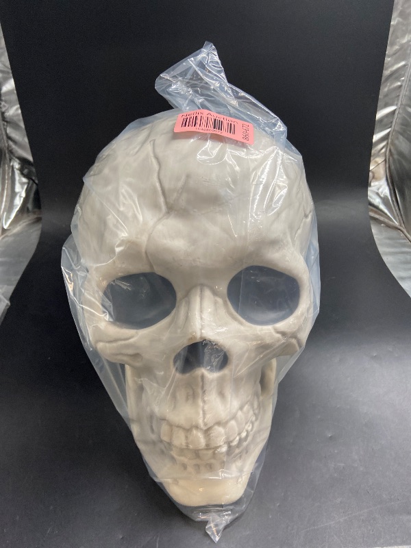 Photo 1 of Hyde & Eek 10" Oversized Skull with Moveable Jaw Halloween