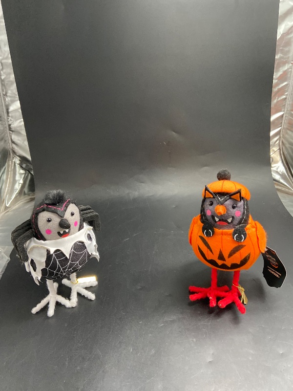 Photo 1 of 2 item Bundle - Halloween accessories 
