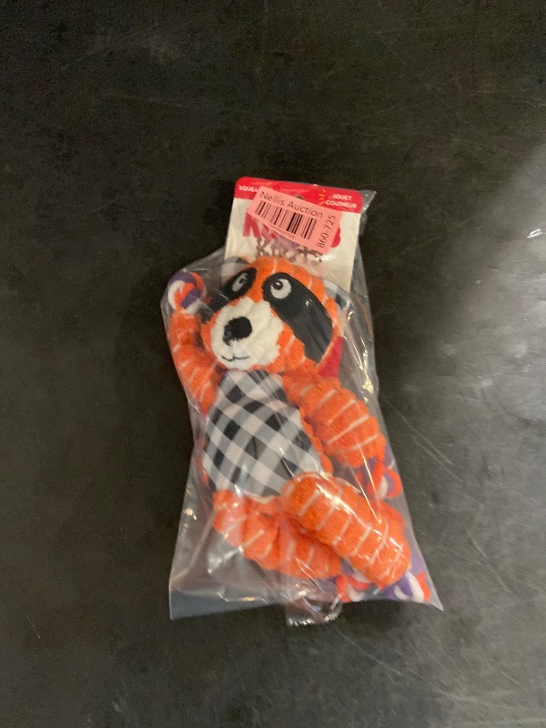 Photo 1 of KONG Halloween Floppy Raccoon Knots Dog Toy