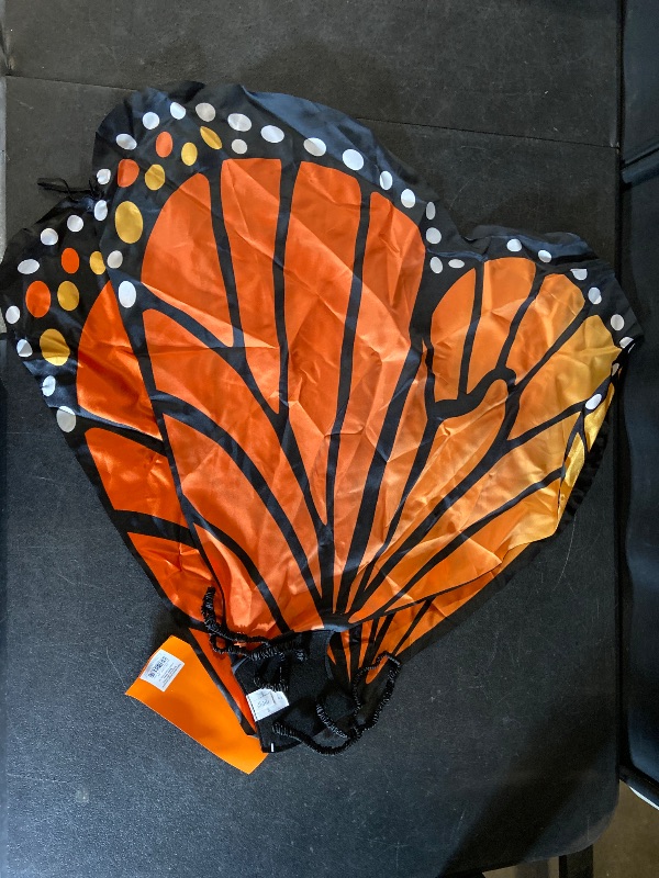 Photo 1 of Hyde and EEK! Kids Butterfly Wings Halloween Costume