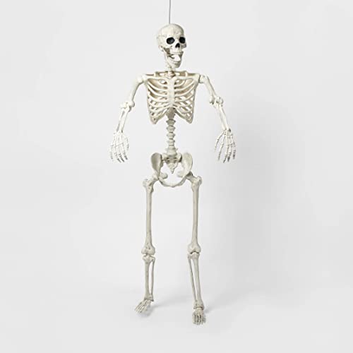 Photo 1 of Full Size Hallow - Posable Skeleton Life Size Skeleton Halloween Decor L Large Skeleton Life Size Skeleton Poseable L Decoration Skeletons for Halloween 
