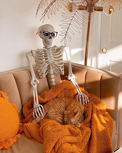 Photo 1 of Posable Skeleton Life Size Skeleton Halloween Decor L Large Skeleton Life Size Skeleton Poseable L Decoration Skeletons for Halloween