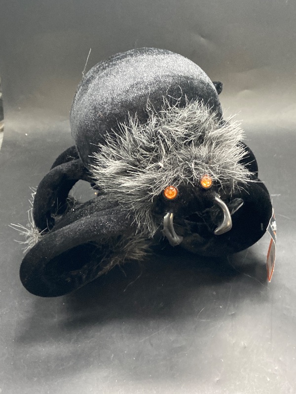 Photo 1 of Hyde and EEK! Boutique Halloween  - Plush Black Spider Outdoor Decorative Prop