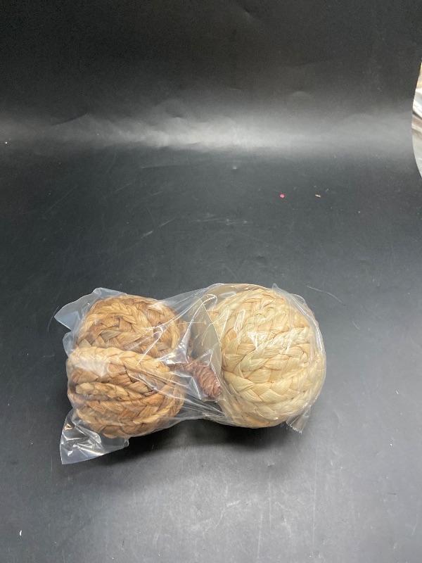 Photo 1 of Two mini -  Tone Woven Pumpkin Natural - Threshold
