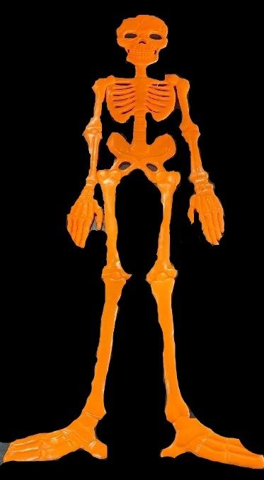 Photo 1 of 59” Posable Skeleton Halloween Decorative Prop Pink - Hyde & EEK! Boutique NWT