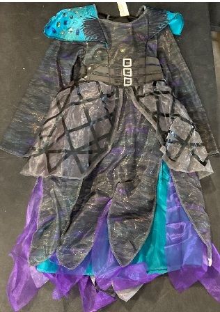 Photo 1 of Size 10 - 14  Girl's Disney Descendants 4 Deluxe Uliana Costume