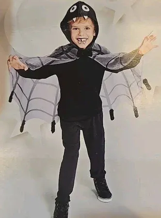 Photo 1 of One Size Fits Most Kids' Spider Halloween Costume Capelet - Hyde & EEK! Boutique