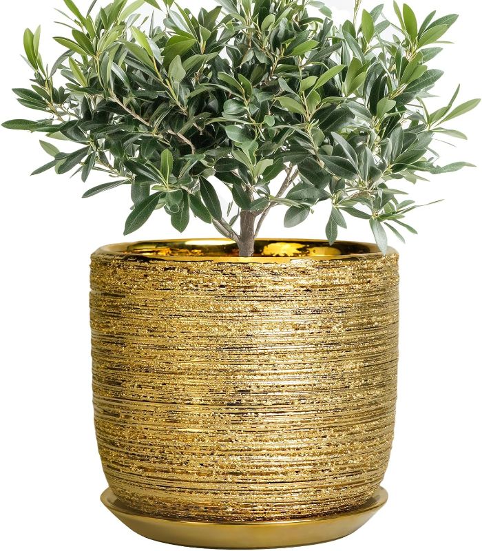 Photo 1 of 8 Inch Plant Pot - Ceramic Planter with Drainage Hole and Saucer, Modern Round Planter for Indoor Flowers, Gifts for Plant Lovers, Home House Office Room Decor, Gold
