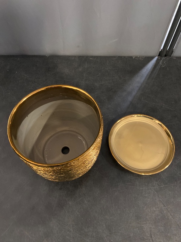 Photo 1 of 8 Inch Plant Pot - Ceramic Planter with Drainage Hole and Saucer, Modern Round Planter for Indoor Flowers, Gifts for Plant Lovers, Home House Office Room Decor, Gold