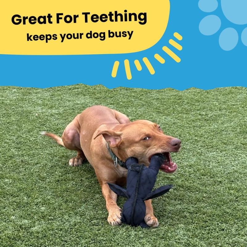 Photo 1 of Mighty Bear Tough Plush Dog Toy Durable Squeaky Toy for Small Medium and Large Dogs Heavy Duty Stuffed Animal for Aggressive Chewers Keeps Dogs Busy and Entertained