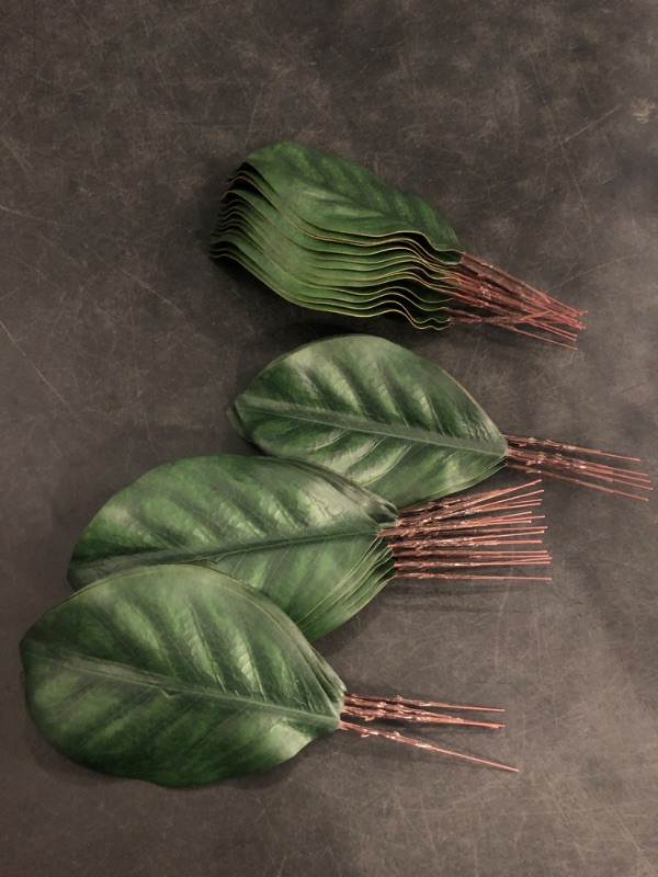 Photo 1 of Artificial Green Magnolia Leaves Pack of 40 for Wedding Decor, Home Decor, Indoor Decor, Book Decorative, Bookmark, Fake Leaves Decor, Magnolia Wreath, Artificial Plants
