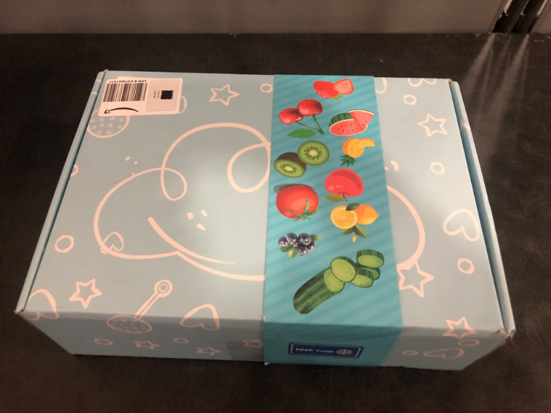 Photo 1 of Chilled Portable Snackle Box Container with Reusable Ice Pack Bonus Insulated Bag 2Dip Container Divided Serving Tray Beach Essentials for Charcuterie Road Trip Picnic Family Party