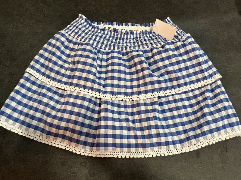 Photo 1 of (L)10/12 Blue and White Rigged Plaid Layered Skirt
