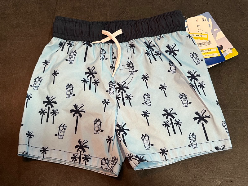 Photo 1 of 2T Toddler Boys' Bluey Swim Shorts - Blue 2T: Polyester Microfiber, Tagless, Mid Rise, Front Drawstring, UPF 50+ Protection