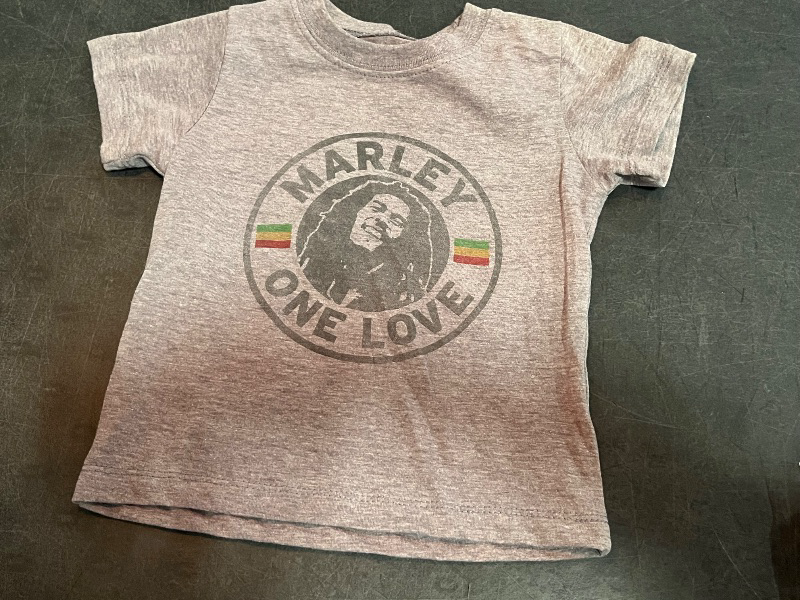 Photo 1 of 18M Toddler Boys' Bob Marley 'One Love' Short Sleeve Graphic T-Shirt - Gray 18M