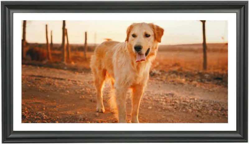 Photo 1 of LTYHHK 12x22 Panoramic Picture Frames Solid Wood, Displays Picture10x20 with Mat or 12x22 Inch without Mat, Poster Frame 12x22 Photo Frames Family Wall 10x20 Picture Frame Black (LMKB1222)