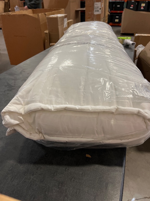 Photo 1 of Body Pillow 50 Inch x 16 Inch