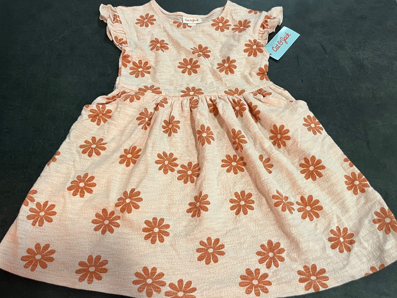 Photo 1 of (S) Girls Pink Daisy Dress 
