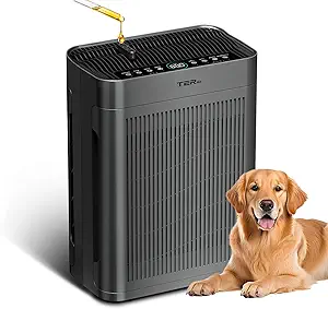 Photo 1 of Air Purifiers for Home Large Room Up to 3000 Sq Ft with Washable Filters, H13 HEPA, Dual-Sided Air Intake, PM2.5 Sensor, 22dB Quiet Air Cleaner for Bedroom, Pets, Dust, Smoke, Pollen