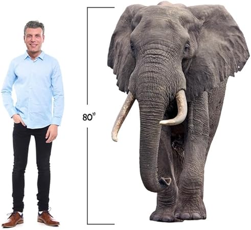 Photo 1 of Elephant - Life Size Cardboard Cutout Standup People with Support Standee | Animals -
