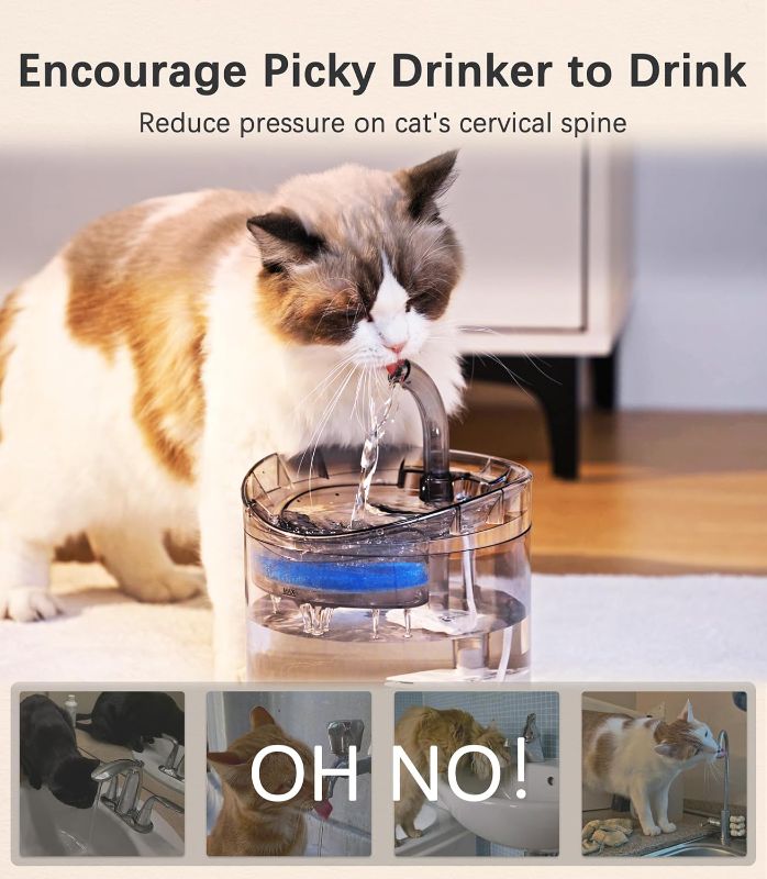 Photo 1 of Cat Water Fountain Animal Water Dispenser 61OZ/1.8L  