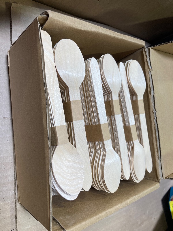 Photo 1 of ECOLipak 300 Count Wooden Disposable Spoons, Compostable Wooden Spoons for Party, Camping, Traveling, Family Dinners